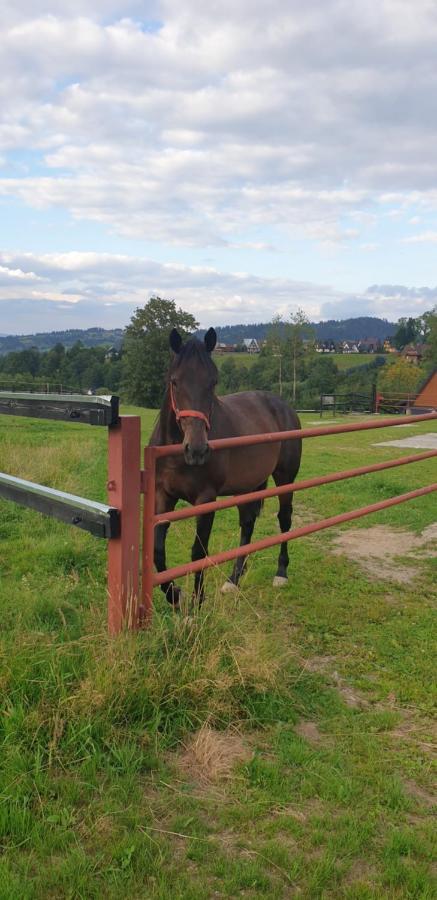 Pokoje Goscinne Przeklasa Pawel Zakopane Luaran gambar